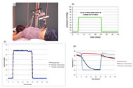 (a) shows a subject lying prone with the customized test system applied to the sacrum skin, (b) shows changes in pressure throughout the test, and local cooling is applied during the period of 60mmHg pressure, (c) shows the applied pressure averaged for 11 subjects in all three test sessions, and (d) shows the skin temperature averaged for 11 subjects in all three test sessions. 